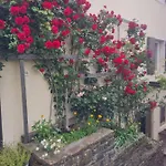 Apartma Istra Zora *