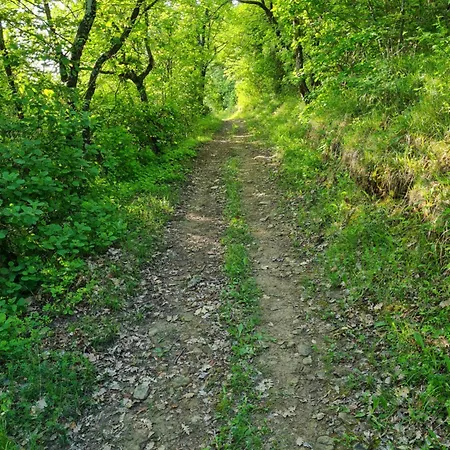 Apartma Istra Zora Secovlje