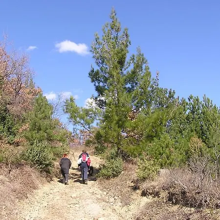 Apartma Istra Zora * Secovlje