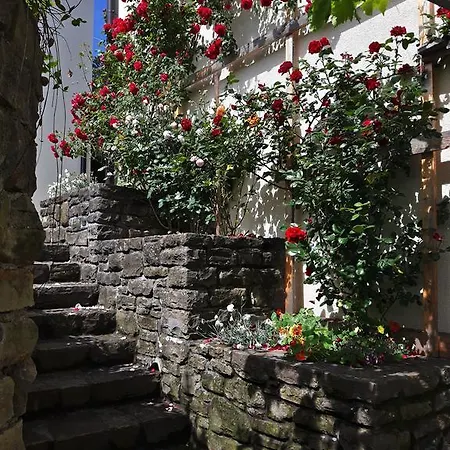 Apartman Apartma Istra Zora Secovlje