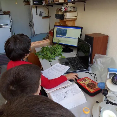 Apartma Istra Zora *