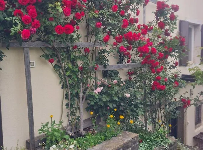 Apartma Istra Zora *