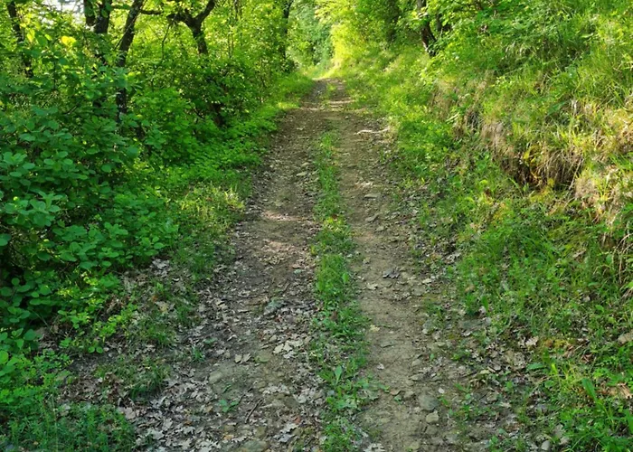 Apartma Istra Zora Sečovlje