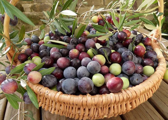 Apartma Istra Zora Sečovlje