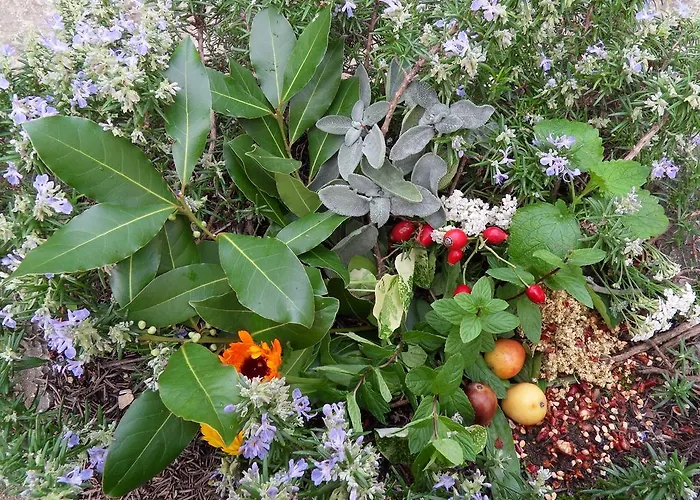 Apartma Istra Zora Appartement