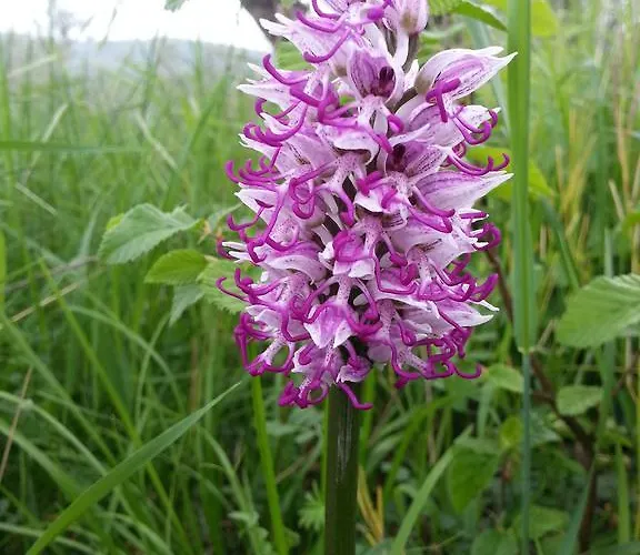 Apartma Istra Zora * Sečovlje