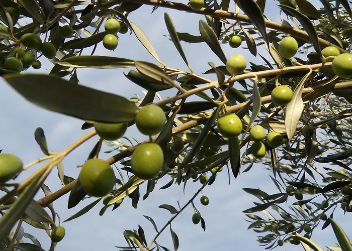 Appartement Apartma Istra Zora Sečovlje