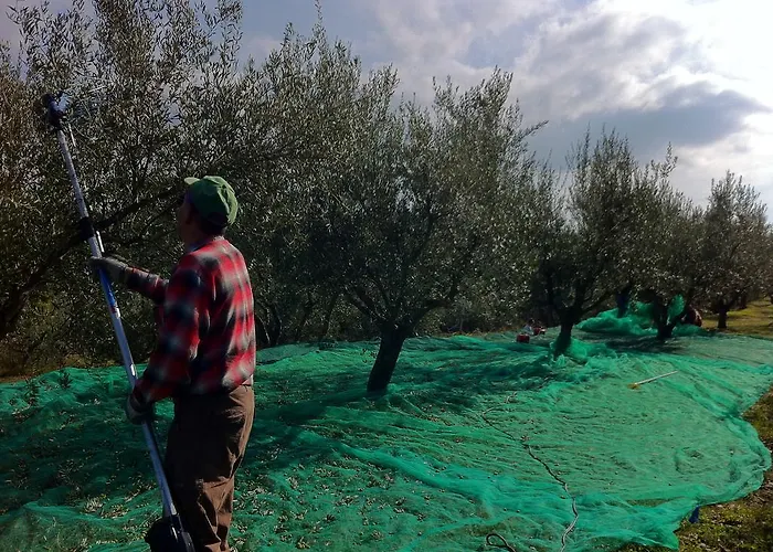 Apartma Istra Zora Appartement