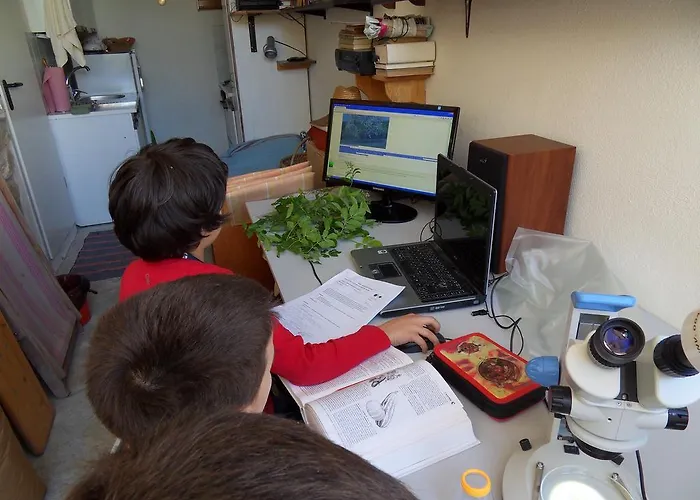 Apartma Istra Zora *