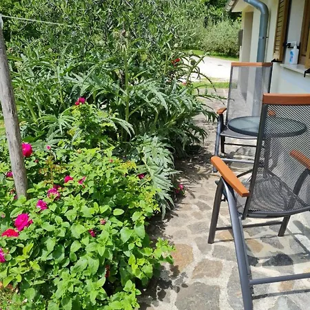 Apartma Istra Zora Apartament *