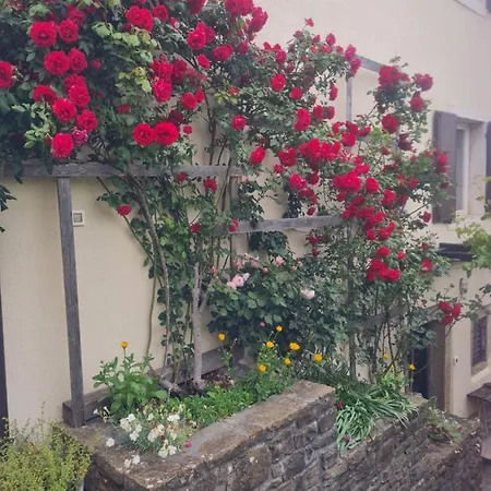 Apartma Istra Zora *