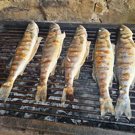 Apartma Istra Zora Secovlje