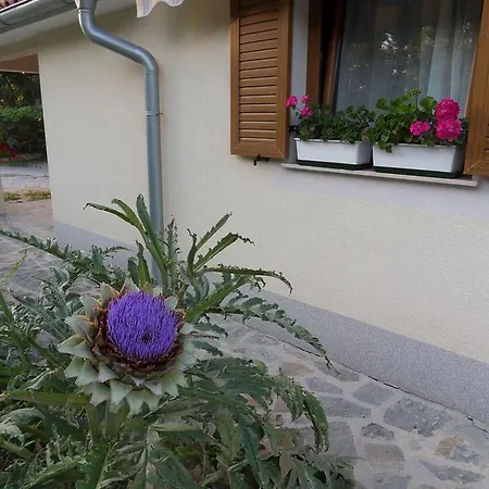 Apartma Istra Zora