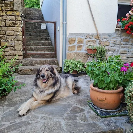 Apartma Istra Zora Appartement *
