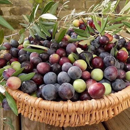 Apartma Istra Zora Sečovlje