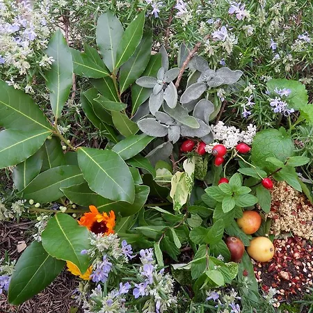 Apartma Istra Zora Апартаменты