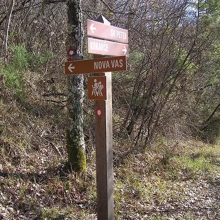 Apartma Istra Zora Secovlje