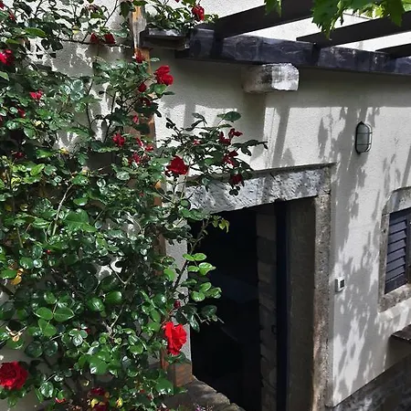 Apartma Istra Zora