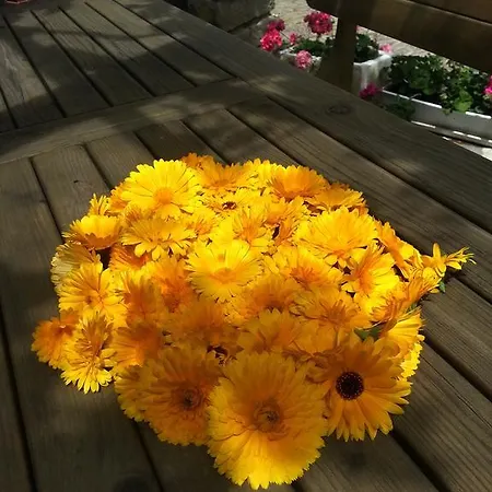 Appartement Apartma Istra Zora Sečovlje