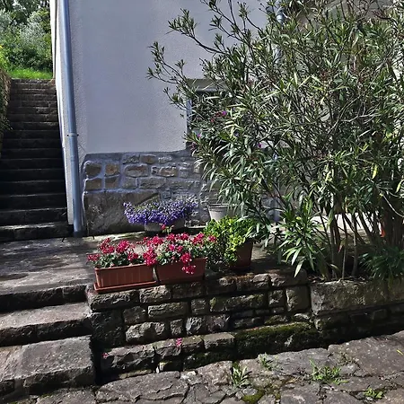 Apartma Istra Zora