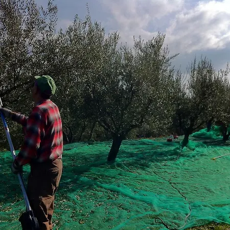 Apartma Istra Zora Appartement