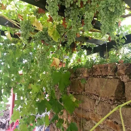 Apartma Istra Zora Appartement Sečovlje