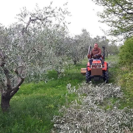 Apartma Istra Zora דירה