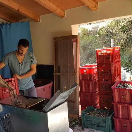 Apartma Istra Zora