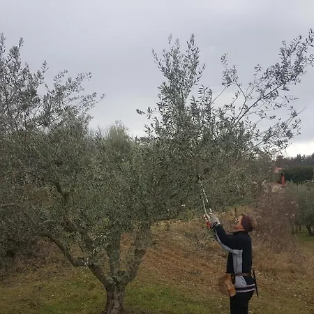 Apartma Istra Zora דירה Sečovlje