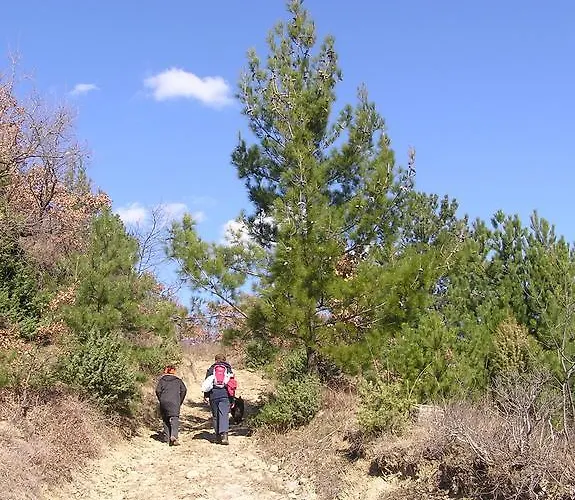 Apartma Istra Zora * Sečovlje