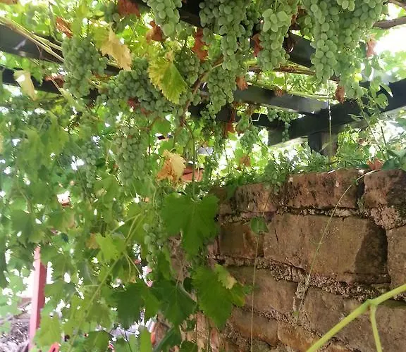 Apartma Istra Zora Διαμέρισμα Sečovlje