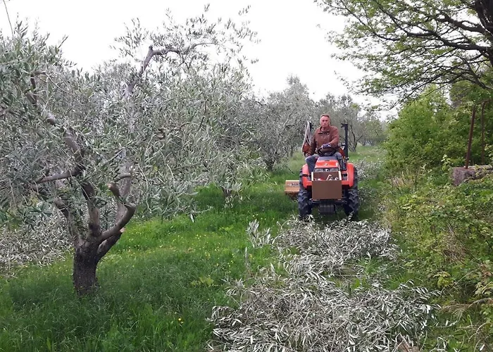 Apartma Istra Zora Διαμέρισμα