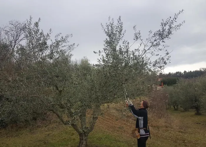 Apartma Istra Zora Διαμέρισμα Sečovlje